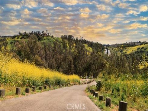 66 Elderwood , Aliso Viejo, CA