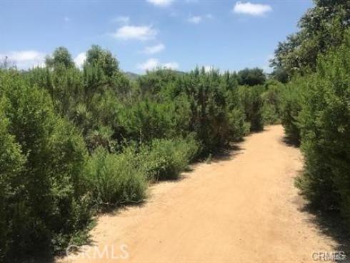 46 Conch Reef , Aliso Viejo, CA