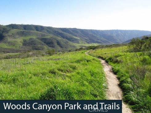 66  Elderwood  , Aliso Viejo, CA