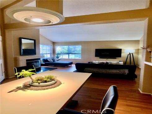 163 Night Heron Lane, Aliso Viejo, CA