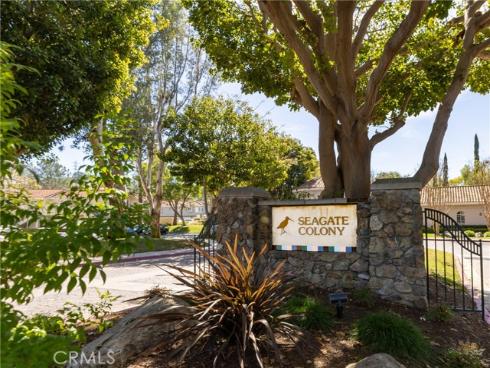 74  Cinnamon Teal  , Aliso Viejo, CA