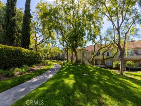 74  Cinnamon Teal  , Aliso Viejo, CA