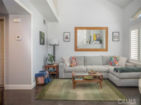 27  Royal Tern  , Aliso Viejo, CA