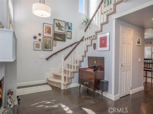 27  Royal Tern  , Aliso Viejo, CA