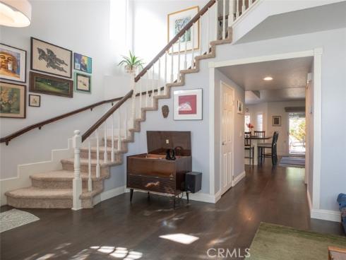 27  Royal Tern  , Aliso Viejo, CA