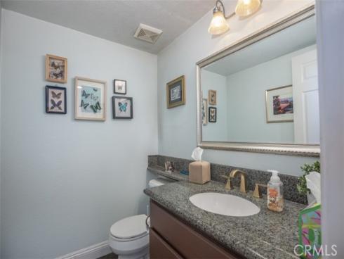 27  Royal Tern  , Aliso Viejo, CA