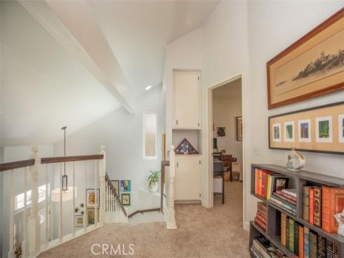 27  Royal Tern  , Aliso Viejo, CA