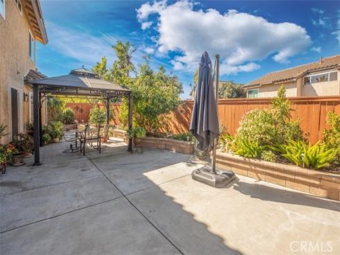 27  Royal Tern  , Aliso Viejo, CA