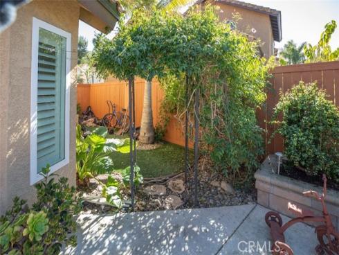 27  Royal Tern  , Aliso Viejo, CA