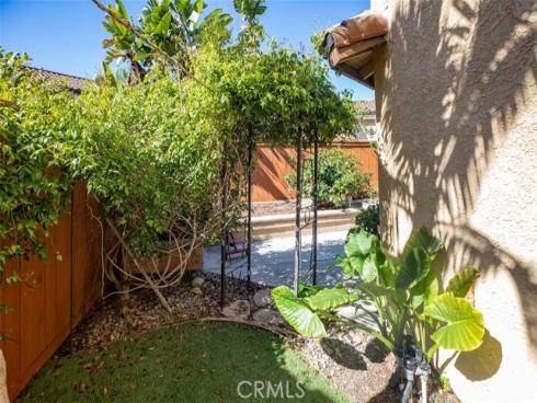 27  Royal Tern  , Aliso Viejo, CA