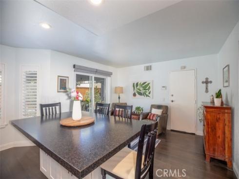 27  Royal Tern  , Aliso Viejo, CA