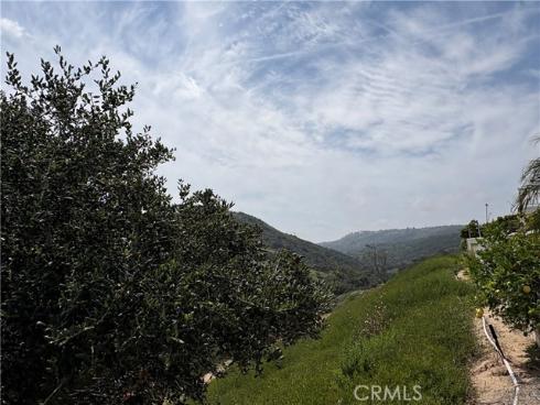 40  Silkwood  , Aliso Viejo, CA