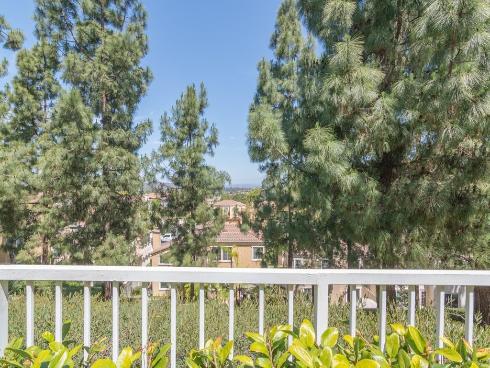 29  Vista Del Canon  , Aliso Viejo, CA