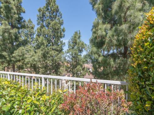 29  Vista Del Canon  , Aliso Viejo, CA