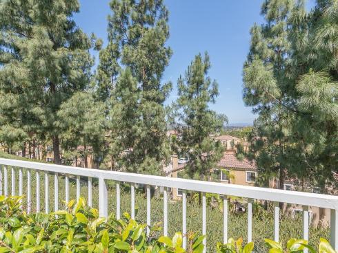 29  Vista Del Canon  , Aliso Viejo, CA