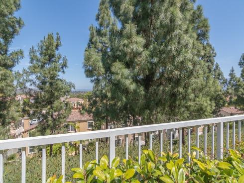 29  Vista Del Canon  , Aliso Viejo, CA