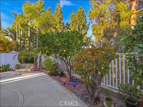 12 Hawaii , Aliso Viejo, CA