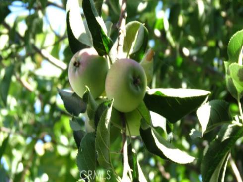 590 S Paseo Carmel , Anaheim Hills, CA