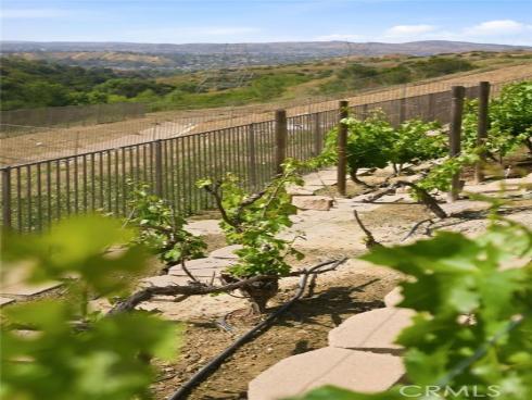 847 S Canyon Mist   Lane, Anaheim Hills, CA