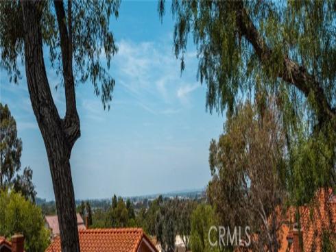 186 S Donna   Court, Anaheim Hills, CA