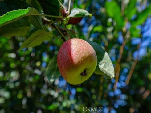 4741 E Copa De Oro Drive, Anaheim, CA