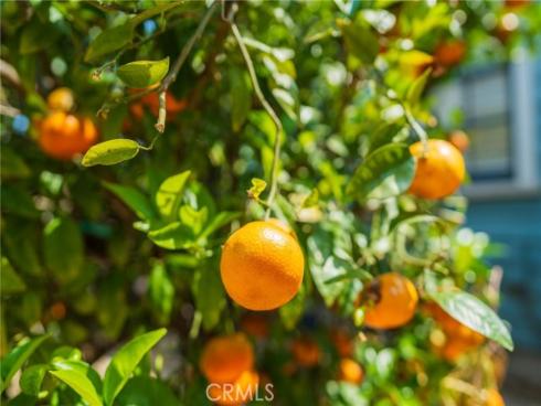 405 N Pine Street, Anaheim, CA