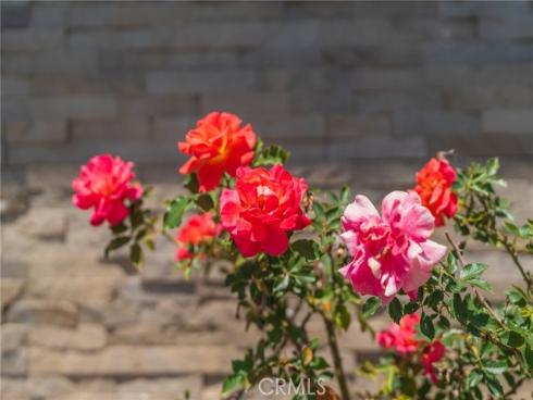 1219 S Gaymont   Street, Anaheim, CA