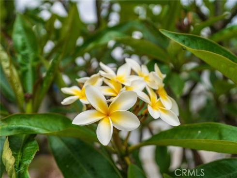 1925 W Beacon   Avenue, Anaheim, CA