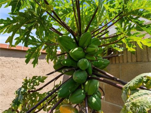 4360 E Addington Drive, Anaheim, CA