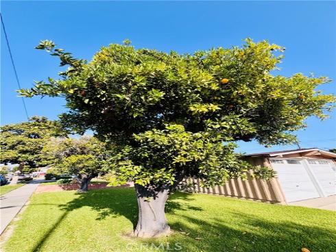 2362 W Mall Avenue, Anaheim, CA