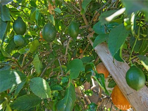 1223 S Dale   Avenue, Anaheim, CA