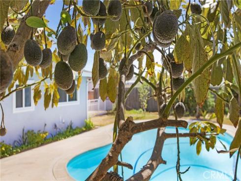 1223 S Dale   Avenue, Anaheim, CA