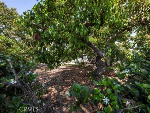 1615 E South , Anaheim, CA