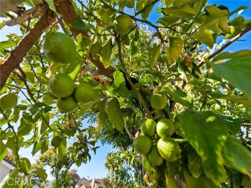 5018 E Budlong   Street, Anaheim, CA