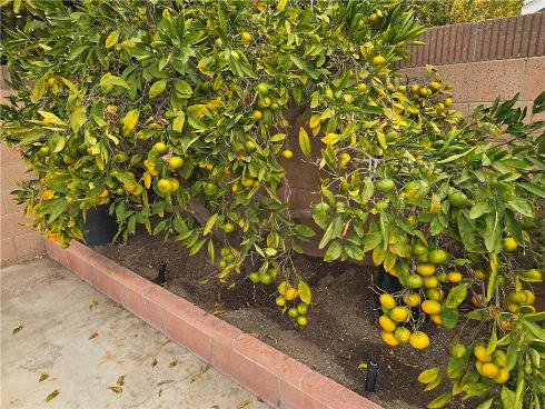 3115 W Teranimar , Anaheim, CA