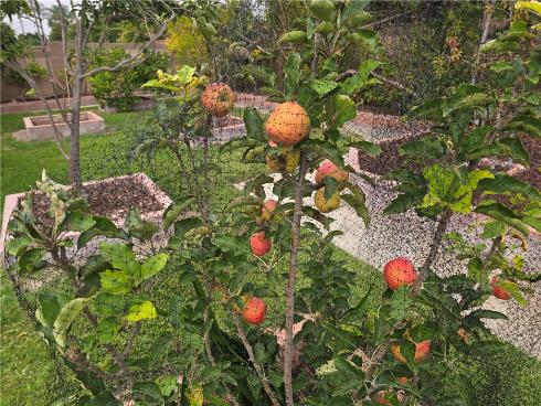 3115 W Teranimar , Anaheim, CA