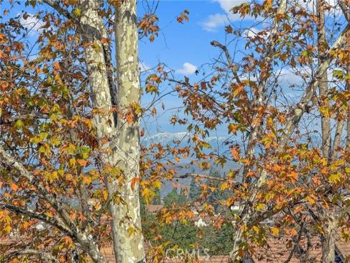 6535 E Paseo Murillo , Anaheim, CA