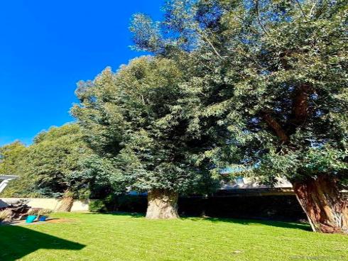 2034 S Flippen Drive , Anaheim, CA