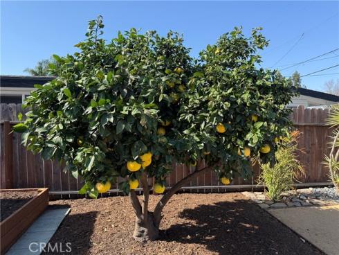 1409 W Dogwood  , Anaheim, CA