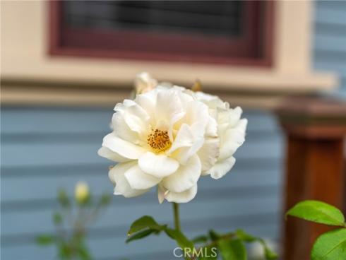 805 N Clementine  , Anaheim, CA