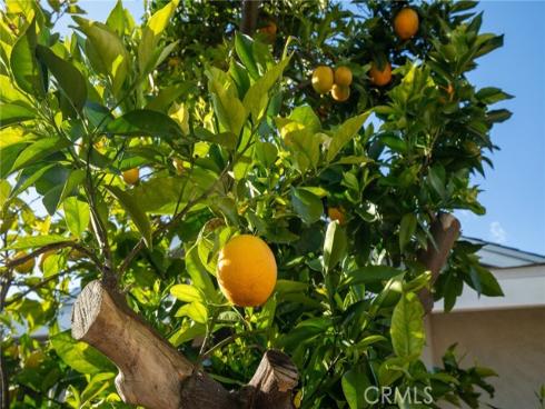 520 S Adria   Street, Anaheim, CA