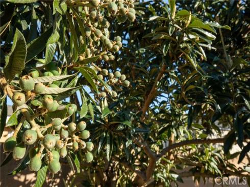 520 S Adria   Street, Anaheim, CA