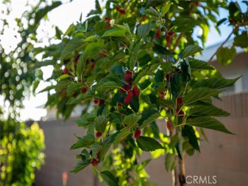 520 S Adria   Street, Anaheim, CA