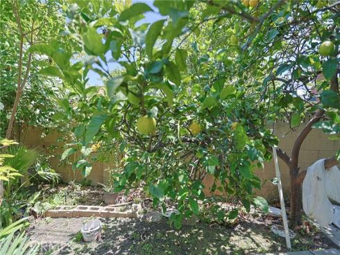 990 S Siet   Place, Anaheim, CA