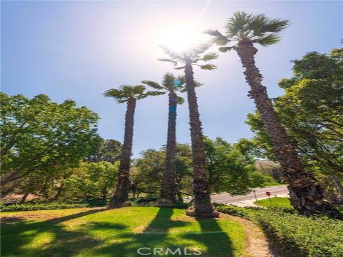 6097 E Montefino , Anaheim, CA