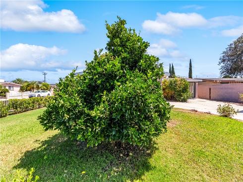 11892 Sandy , Anaheim, CA