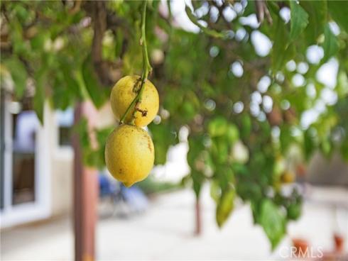 1936 Skywood Street, Brea, CA