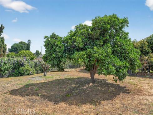 1400 N Puente , Brea, CA