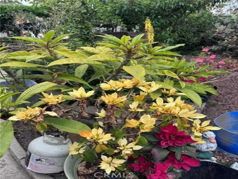 7881 Franklin Street, Buena Park, CA