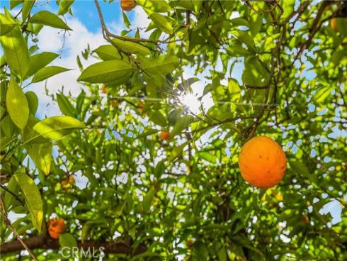 5345 Kenwood Avenue, Buena Park, CA